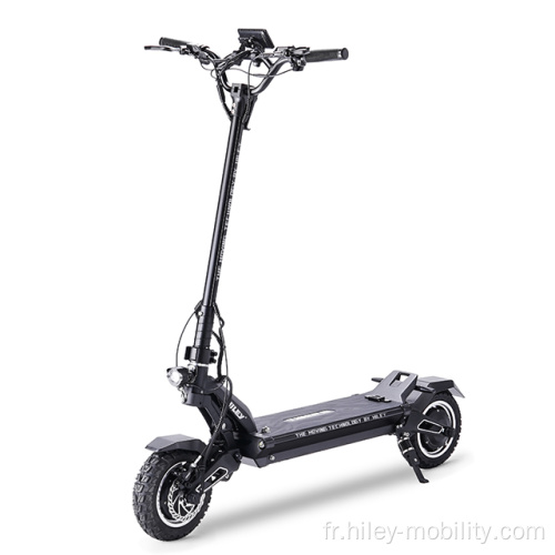 2800W Scooter à double moteur pliable 2800W avec affichage TFT